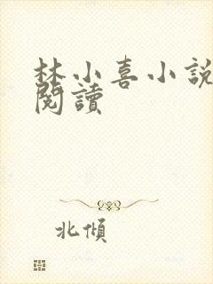 林小喜小说全文阅读