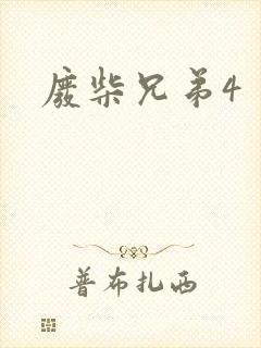 废柴兄弟4封面