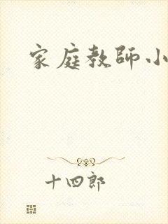 家庭教师小说