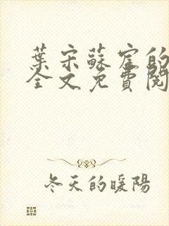 叶宋苏宸的小说全文免费阅读封面