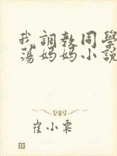 我调教同学的放荡妈妈小说封面