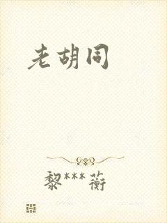 老胡同