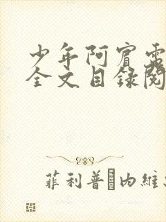 少年阿宾电子书全文目录阅读封面