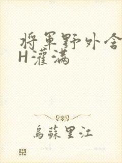 将军野外含公主H灌满封面