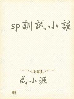 sp训诫小说封面