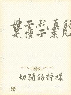 嫂子,我真的不是傻子叶凡