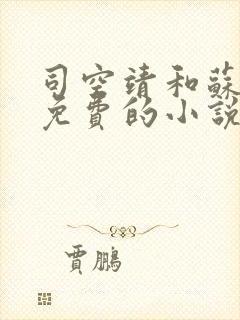 司空靖和苏月汐免费的小说笔趣阁封面