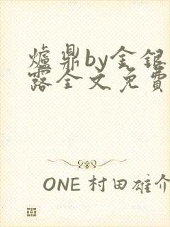 炉鼎by金银花露全文免费阅读笔趣阁