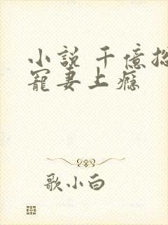 小说 千亿总裁宠妻上瘾