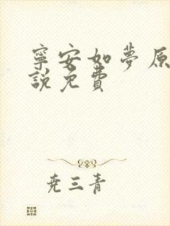 宁安如梦原著小说免费封面