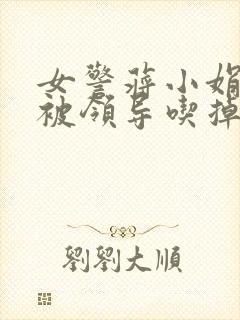 女警蒋小娟的奶被领导吃掉了封面