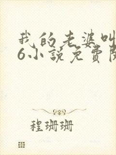 我的老婆叫武艳6小说免费阅读