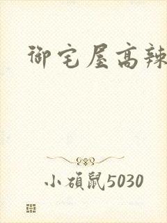 御宅屋高辣文