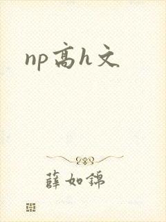 np高h文封面