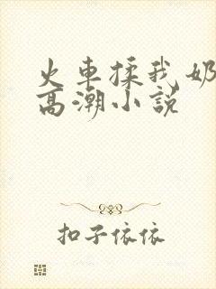 火车揉我奶啊嗯高潮小说