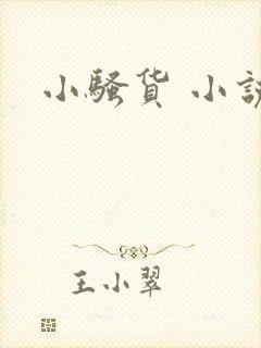 小骚货 小说