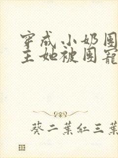 穿成小奶团,公主她被团宠了封面