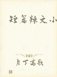 短篇辣文小说