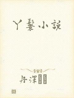 丫鬟小说