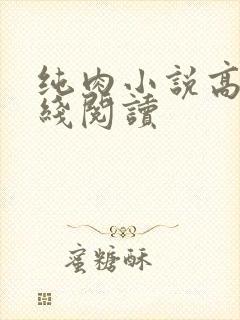 纯肉小说高h在线阅读封面