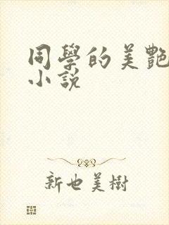 同学的美艳母亲小说