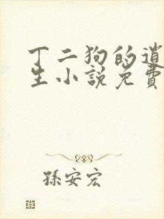 丁二狗的逍遥人生小说免费封面