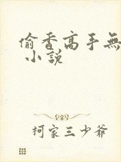 偷香高手无删减 小说
