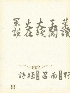 军火大王叶源小说在线阅读无弹窗