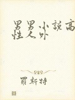 男男小说高h双性人外