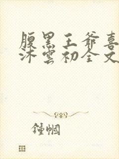 腹黑王爷喜当爹沐云初全文免费阅读