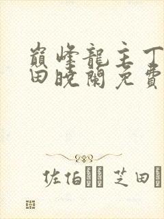 巅峰龙主丁长顺田晓兰免费阅读
