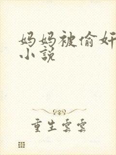 妈妈被偷奸小武小说封面