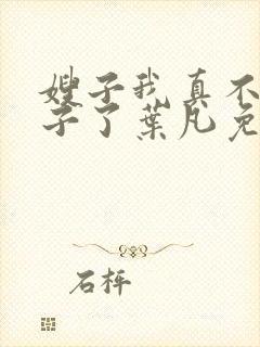 嫂子我真不是傻子了叶凡免费下载封面