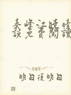 秦峰江晓晴的小说免费阅读封面