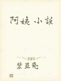 阿姨 小说封面