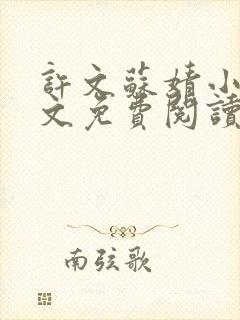许文苏婧小说全文免费阅读封面