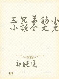 三兄弟的小媳妇小说全文免费阅读封面