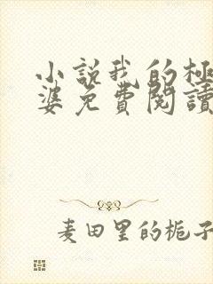 小说我的极品老婆免费阅读全文