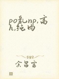 po乱np,高h,纯肉
