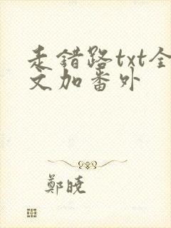 走错路txt全文加番外