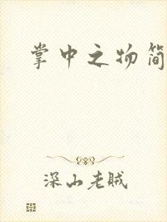掌中之物简介封面