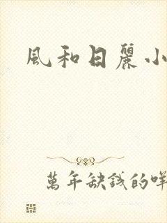 风和日丽小说