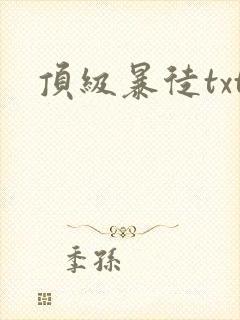 顶级暴徒txt