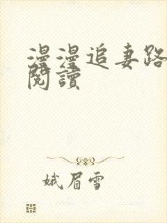 漫漫追妻路免费阅读