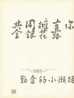 共同拥有你by金银花露