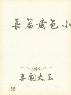 长篇黄色小说