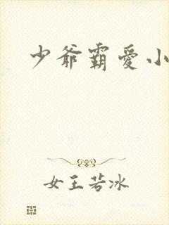 少爷霸爱小丫头