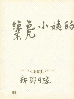 绝色小姨的诱惑叶凡封面