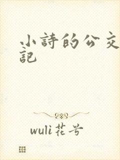 小诗的公交车日记