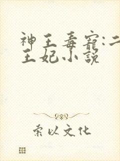 神王毒宠:二嫁王妃小说